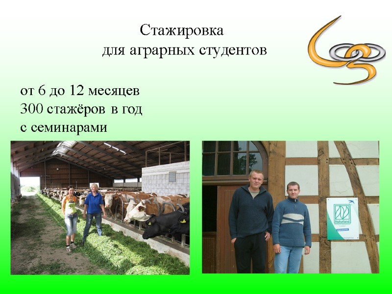Стажировка  для аграрных студентов от 6 до 12 месяцев  300 стажёров в
